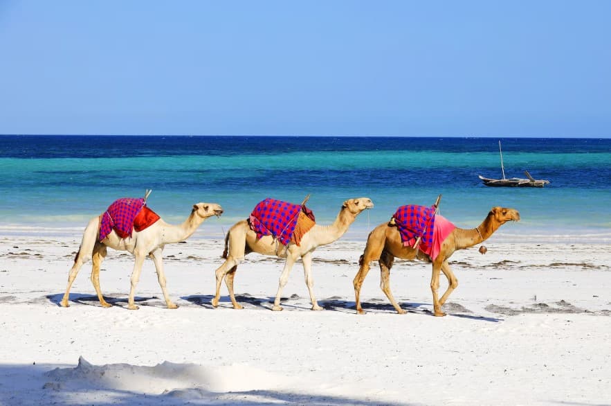 Egypt Holiday Destination